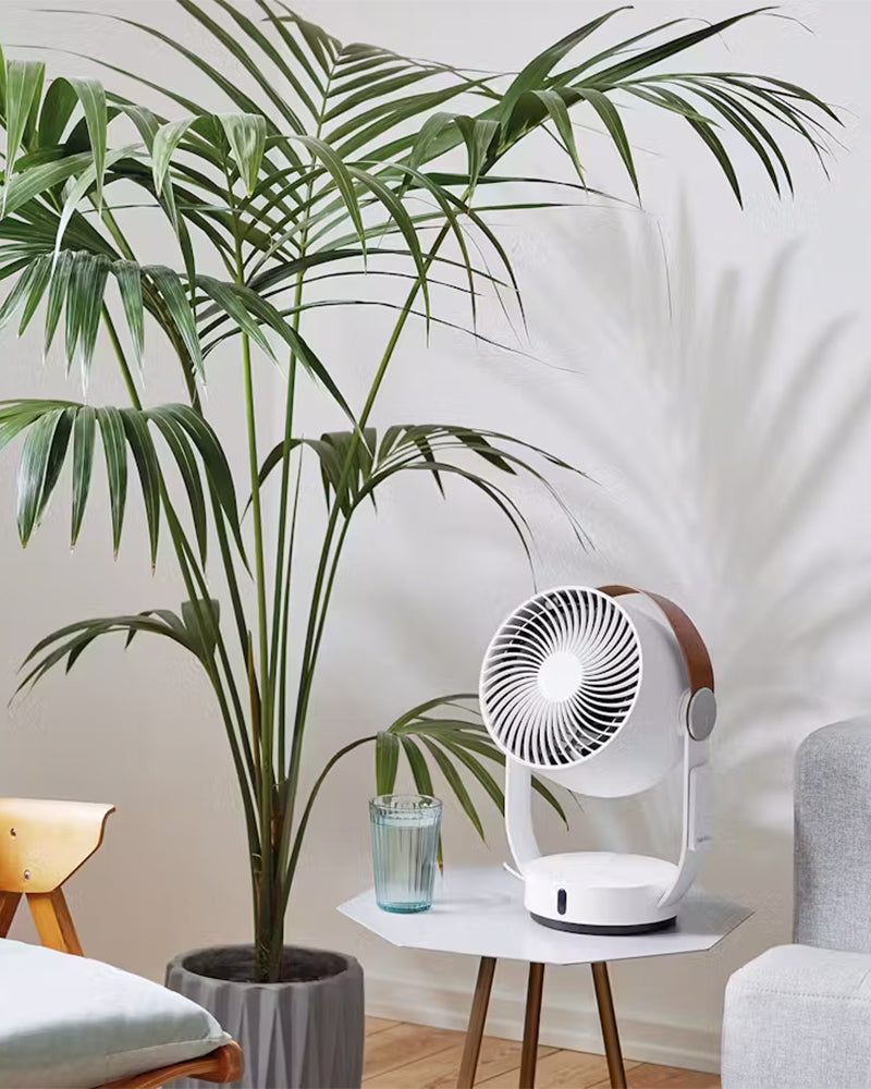 Leo - White Fan